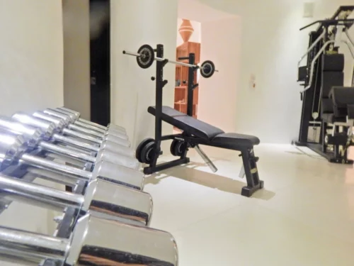 Private gym in luxury villa in Casa de Campo